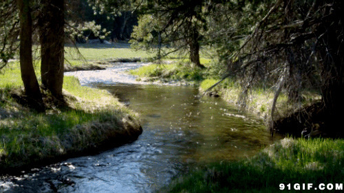 山林小河流水图片:山林,河水,小溪