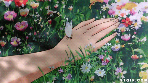 蝴蝶在手掌上舞动翅膀唯美图片
