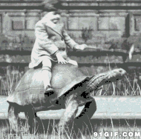 骑乌龟黑白动态图片