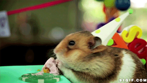 小花栗鼠偷吃蛋糕图片:花栗鼠,蛋糕,老鼠