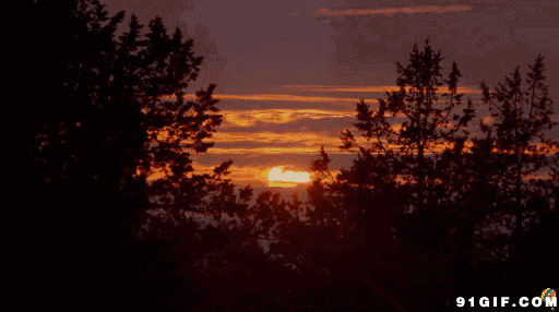 最美夕阳红动态图片