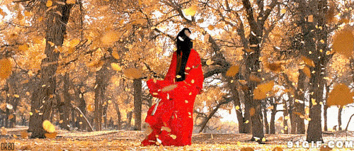 红尘美女秋风落叶动态图片:秋风,落叶,背景