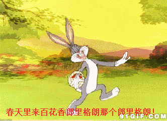 春天里兔八哥跳舞图片:兔八哥,跳舞