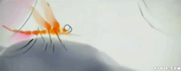 水墨蜻蜓动态图片