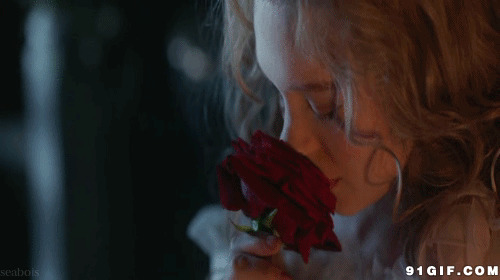玫瑰花的花味沁人心肺图片