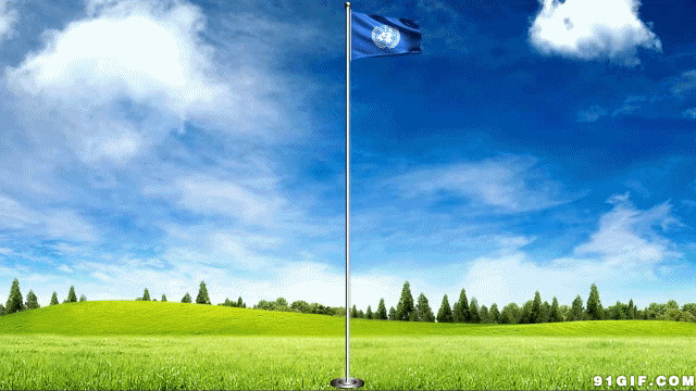 联合国旗帜飘荡图片