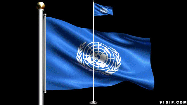 联合国旗帜动态图片
