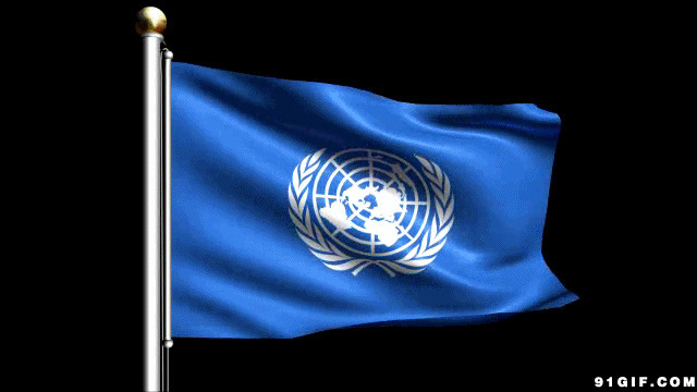 联合国旗动态图片