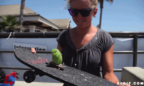 女子逗小鹦鹉玩滑板图片