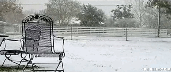 大雪纷飞的季节唯美图片:下雪,唯美,黑白