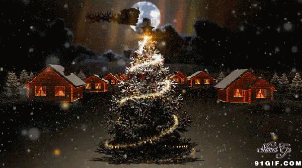 傍晚圣诞树发光图片