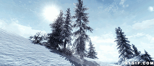 风吹雪林满树雪花景色图片