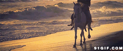 夕阳骑马河边飞奔图片:骑马,奔跑,唯美