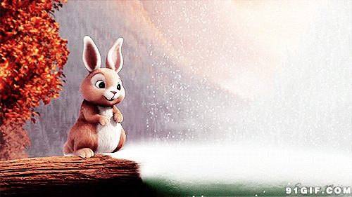 卡通胖胖可爱小兔子图片:小兔子,可爱,下雪,唯美