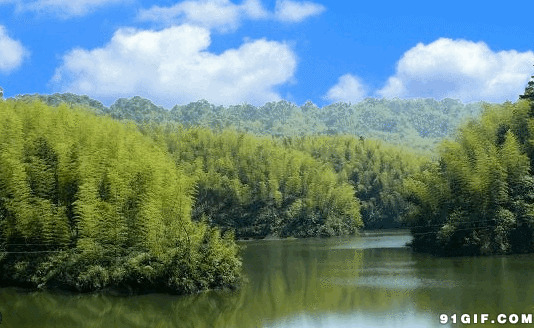 绿色山林湖水荡漾动态素材图片:绿树,湖水,风景,唯美