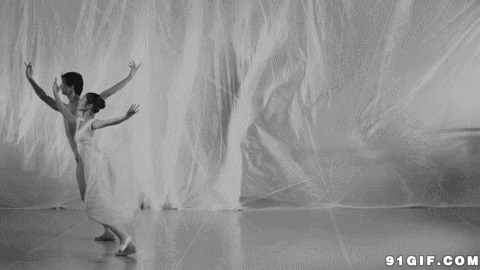芭蕾舞双人舞蹈动态图片