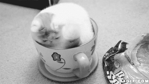 宠物猫猫躲进杯子里动态图片:猫猫,黑白
