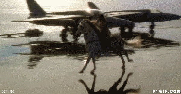 机场跑马黑白图片:骑马,飞机