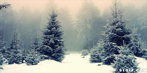 山林漫漫飞雪天图片:下雪,山林,唯美
