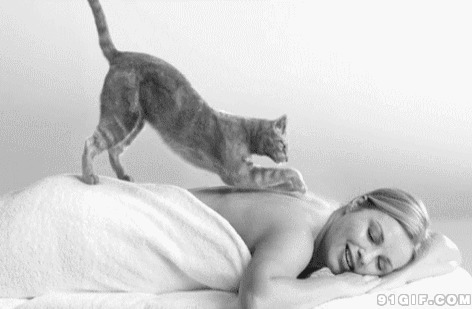 女主人享受猫猫按摩图片