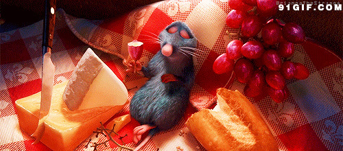 吃葡萄喝美酒的老鼠卡通图片:老鼠,卡通