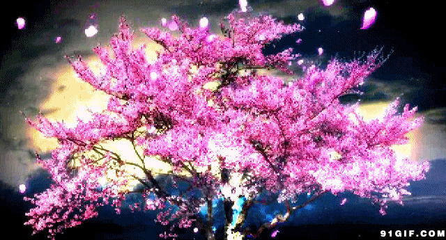 大桃树飘落的花瓣唯美意境图片:花瓣,唯美