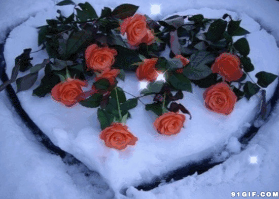 闪亮爱情玫瑰花图片:爱情,玫瑰,桃心
