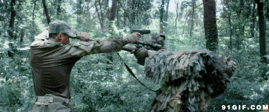 中国军人丛林杀敌图片:军人,敌人,狙击手,开枪