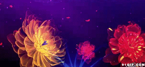 五彩斑斓幻影花朵图片