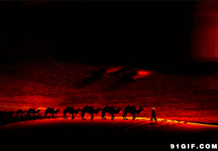 红霞满天骆驼商队唯美图片:骆驼,唯美
