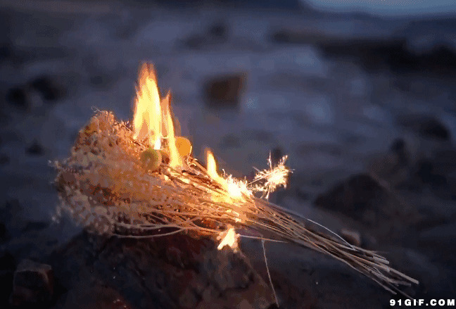 枯叶燃烧的火焰图片:燃烧,火焰