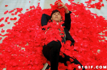 躺在红色花瓣中的男人图片:花瓣,红色