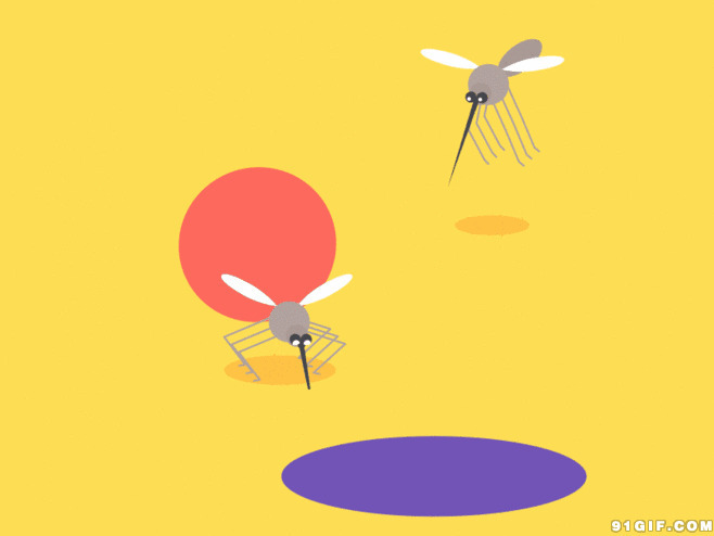 拍死吸血蚊子卡通图片:蚊子,动画