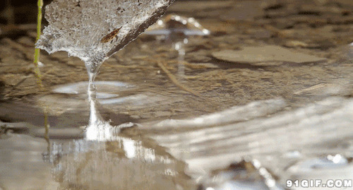 清澈透明的水滴图片:清澈,水