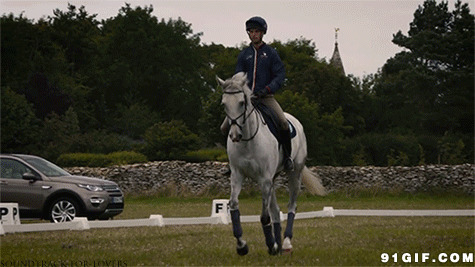 驯马师骑马训练图片:训练,骑马