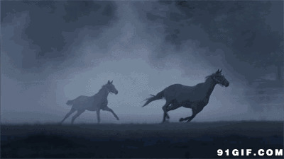 午夜野马奔腾动态图片:野马,奔马,跑马,骏马