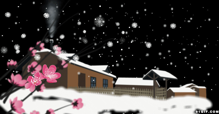 梅花雪夜图片