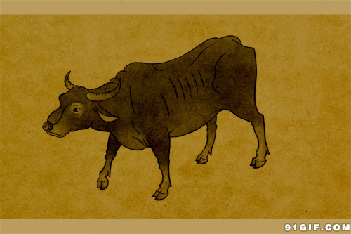 画中行走的大水牛图片:水牛,动物