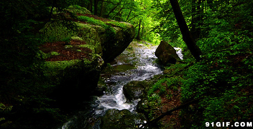 幽静山林溪水长流图片:幽静,流水,小溪