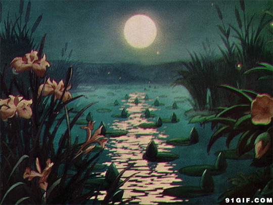 荷塘月色夜景动态图片:荷塘月色,唯美,月亮