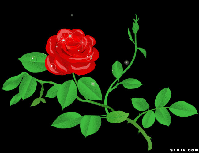绿叶上的红花动画图片