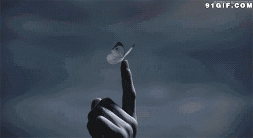 飘落指尖的蝴蝶唯美图片