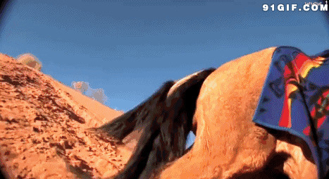 骑马过沙漠动态图片