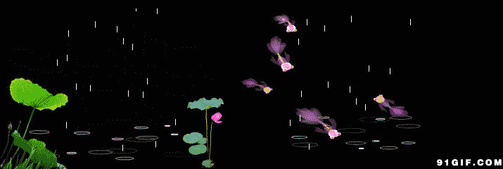 荷塘里游动金鱼唯美卡通图片:荷塘,金鱼,荷花,荷叶