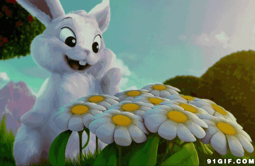 卡通小白兔动态图片:小白兔,兔子