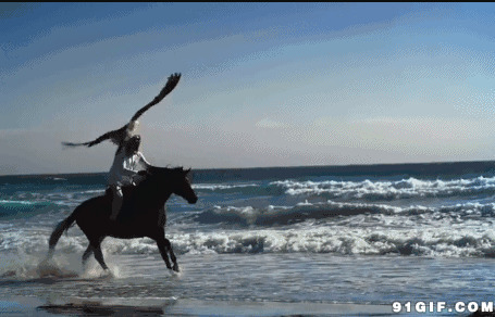 海边骑马见神鹰图片:神鹰,骑马