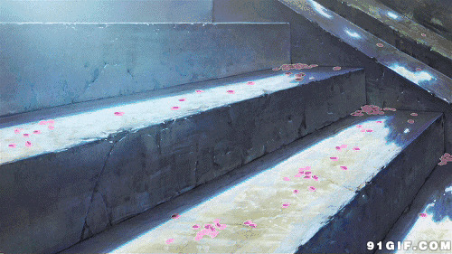 台阶飘落的花瓣唯美图片