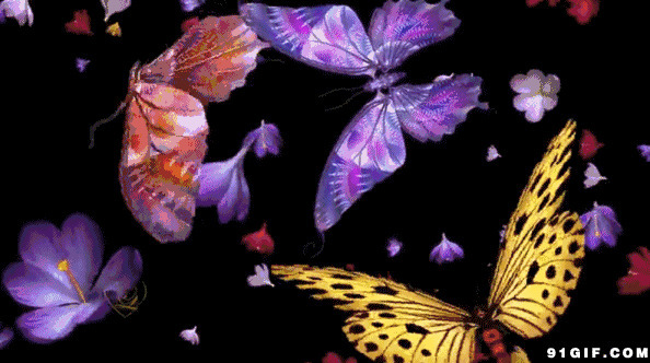 飞舞的五彩蝴蝶动画图片