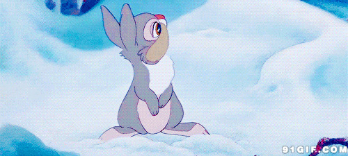 雪堆呆萌小兔子卡通图片:小白兔,卡通