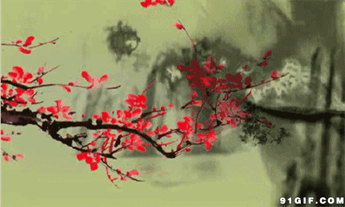 老鹰飞掠梅花树唯美动画图片